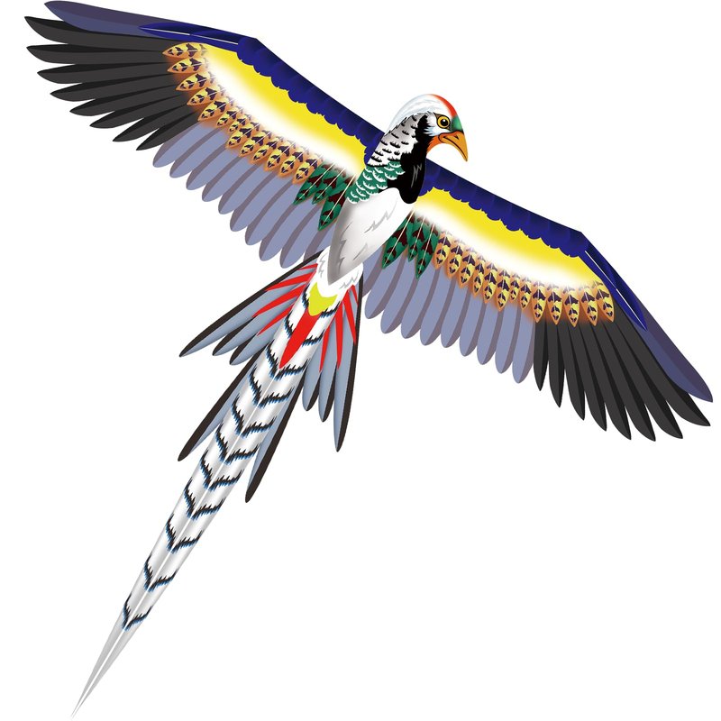 Parrot Kite for Kids & Adults, Outdoor Kite, Perfect for Beginners, Easy to use, Ideal for Beaches, backyards, Grassy Areas（Black）