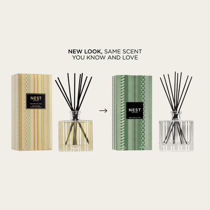NEST New York Reed Diffuser, Holiday - 5.9 fl oz - Fragrance for Up to 90 Days - Reusable, Refillable Glass Holder - Includes 8 All-Natural Reed Sticks - Flame Free