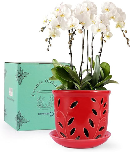 Orchid Pot with Holes & Saucer 6.1 in, Large Orchid Pot for Repotting Plant Flower, Planter with Drainage & Removable Tray for Indoor Outdoor Home Decor, Red