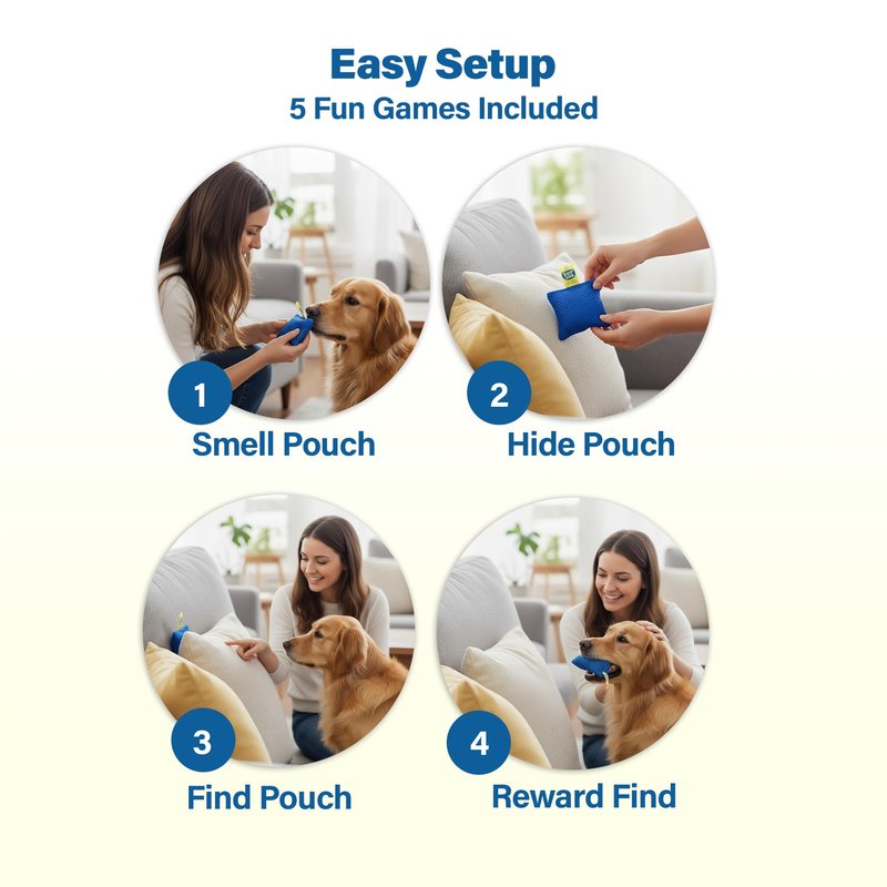 Race&Herd Original 10 Pcs Dog Scent Training Kit, Scent Work Training Kit for Dogs, 5 Brain Games - Nosework for Dog Sniffing Toys, Mental Stimulation Agility Equipment for Dogs (Gold)