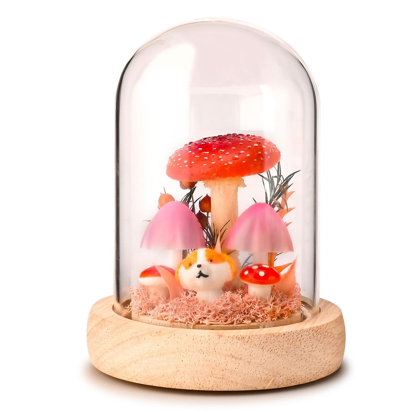 QUELIEN Mushroom Lamp in Glass Dome,Mushroom Gifts for Women - Warm White LED Night Light for Bedroom Decor,Birthday Party Decorations,Ideal Birthday Gift Valentines Gift