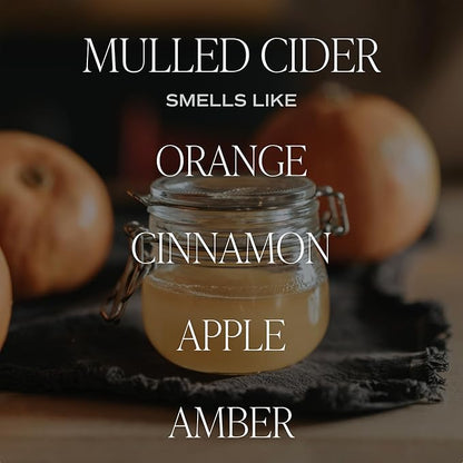 Sweet Water Decor Mulled Cider Soy Candle | Orange | Lemon | Cinnamon | Cranberry | Apple | Cedar | Amber Scented Candle for Home | 11oz White Jar Candle, 50+ Hour Burn Time, Made in The USA