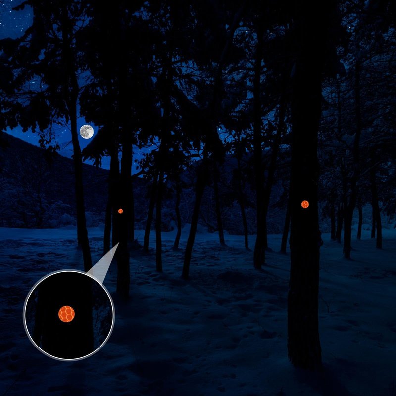 Fullhawl 50 Reflective Tacks Trail Marking Tacks Glow Reflective Mark Trail Markers Thumb Nails for Hunting Hiking Camping Tree Stand (Orange)
