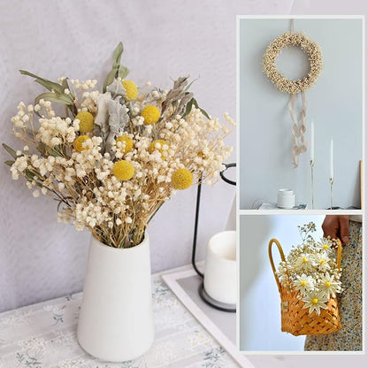 Babys Breath Dried Flowers Bouquet-17'' 2000+ Dry Flowers, Natural Gypsophila Branches for Wedding, Home Table Vase Decor, DIY Wreath Floral, Fall Thanksgiving Autumn Decoration (Ivory White, 2oz)
