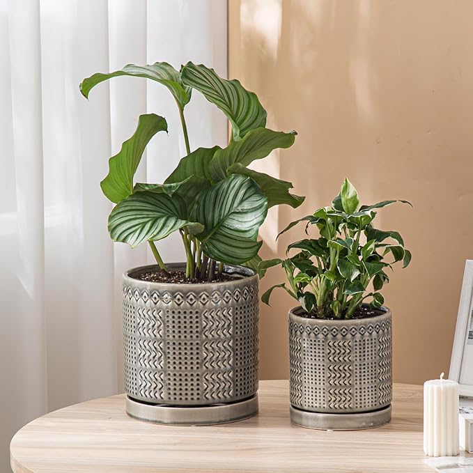 Indoor-Outdoor Ceramic Plant Pots: 8 Inch Flower Pots with Drainage Hole & Saucer - Decorative Ceramic Pots for Plants Herbs Succulents - Home Garden Patio Lawn Use (Grey)