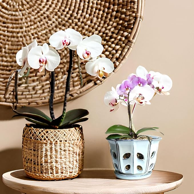Orchid Pots with Holes 6 inch Ceramic Orchid Pot with Attached Saucer and Drainage Hole (White)
