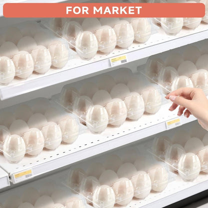 YIFIHGE 60 Pack Egg Cartons Cheap Bulk 1 Dozen Jumbo Egg Cartons Extra Large Duck Egg Holders with Sticker Labels Clear Empty Plastic Egg Containers for Home Ranch Farm Commercial Market Display