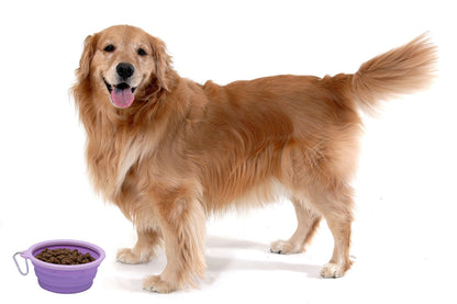 Sale Collapsible Silicone Water Travel Bowl with Clip for Dog and Cat, Portable and Durable Pop-up Feeder for Convenient On-The-go Feeding Size: Large (5 Cups) Grey