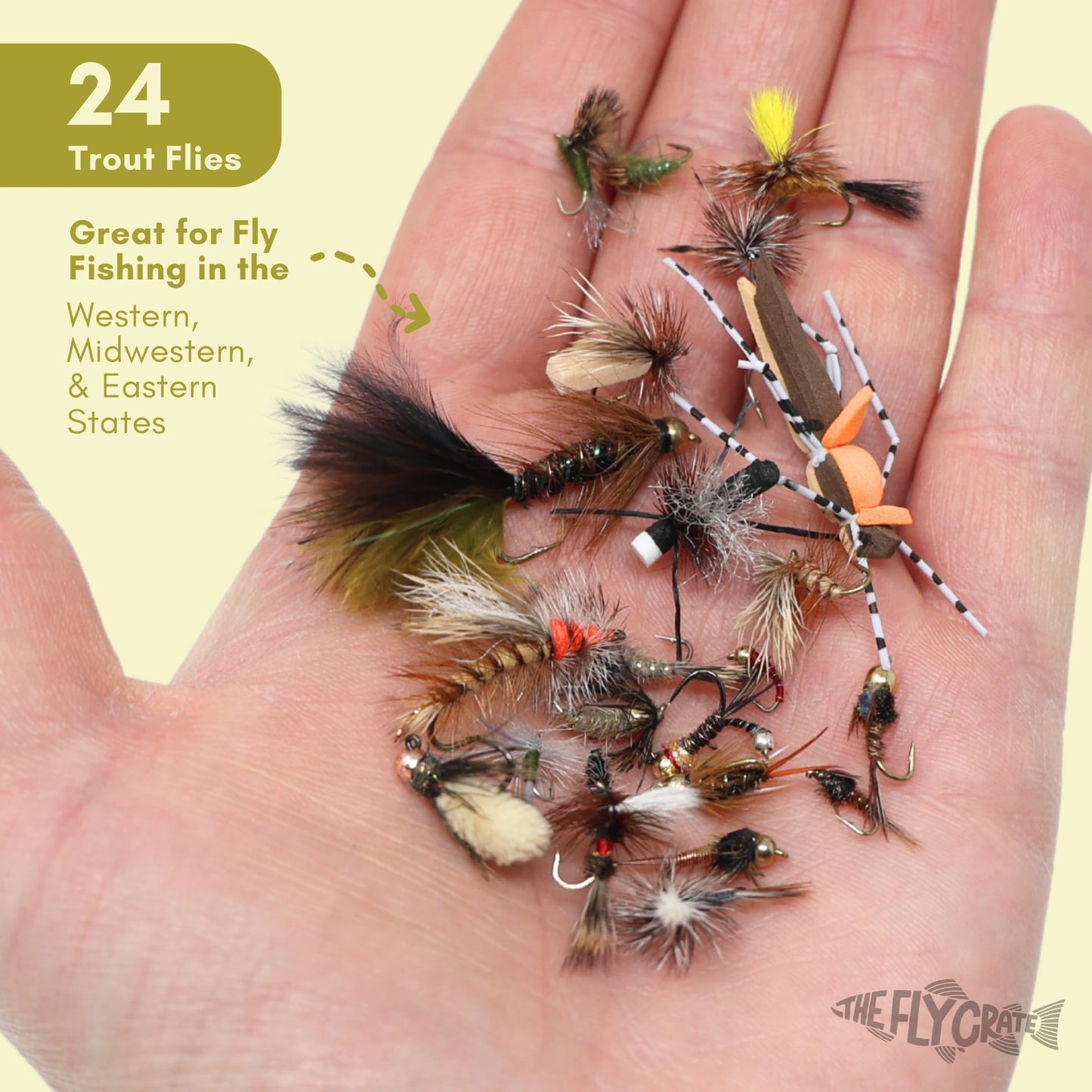 24 Fly Fishing Flies Assortment for Trout | 2 Dozen Fly Fishing Flies Kit | Dry Flies, Nymph, Wet, Streamers, Wooly Bugger Flies | Trout Lure Set Kit