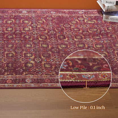 Inlume 3x5 Soft Washable Area Rugs for Living Room and Bedroom, Non-Slip Stain Resistant Indoor Carpet, Cozy Floor Mat for Dining Room, Office, Stain Resistant Entryway Persian red Floral