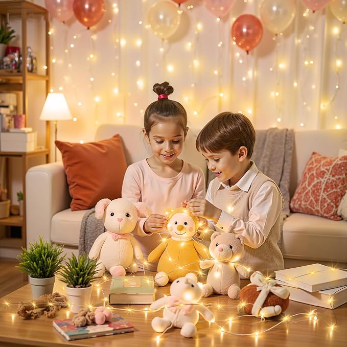 Mlambert 16.4FT LED Fairy Lights Battery Operated with Timer, Rechargeable Mini Twinkle Lights for Christmas Decor Holiday Party,1 Pack, Warm White