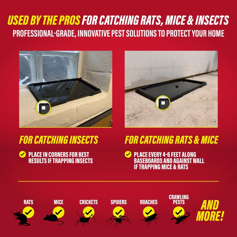 Catchmaster Rat & Mouse Glue Traps with Sticky Putty 2Pk, Large Bulk Glue Board, Rat & Mouse Traps Indoor for Home, Adhesive Plastic Tray for Snakes, Mice & Spiders, Pest Control for House & Garage