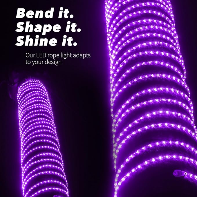 WYZworks 288LEDs 25ft LED Outside Rope Lights, Outdoor ETL Certified Waterproof Permanent 360 Degree Light Emitting, Flexible Tube, Connectable, Christmas Palm Tree Exterior Landscape, Purple