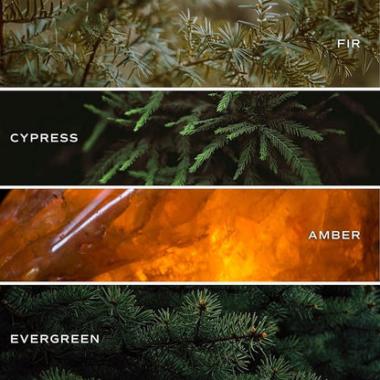 Sweet Water Decor Fraser Fir Candle - Evergreen, Fir, Cedar, and Cypress Winter Holiday Scented Soy Christmas Candles for Home - 11oz White Jar, 50+ Hour Burn Time, Made in The USA