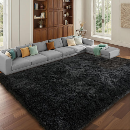 LEDODO Fluffy Area Rugs for Bedroom - Soft Plush Shag Rug for Living Room Nursery Kids Room - Non Slip Fuzzy Shaggy Floor Carpets for Girls Boys Play Room Dorm Decor (Black, 5' x 7')