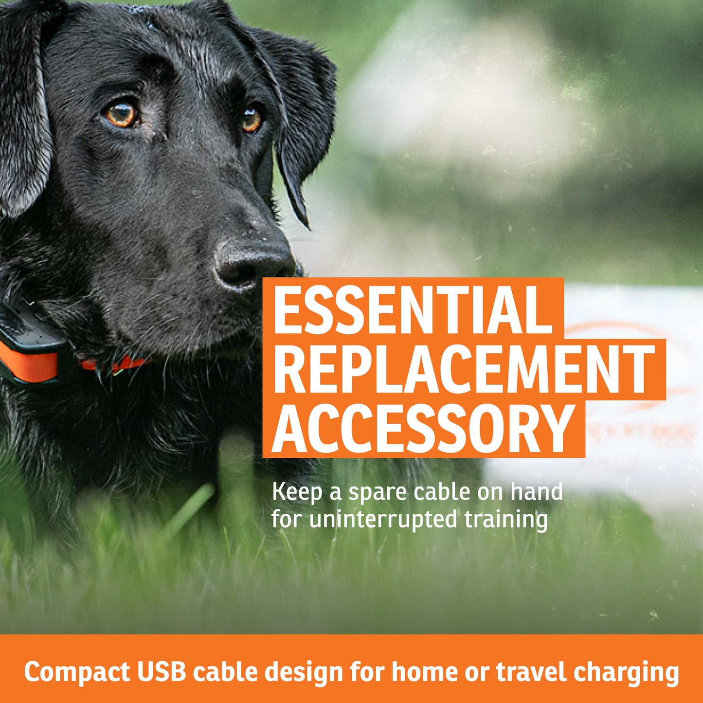 SportDOG Brand In-Ground Fence (SDF-100C) and NoBark SBC-R and SBC-10 Replacement USB Cable - USB Only