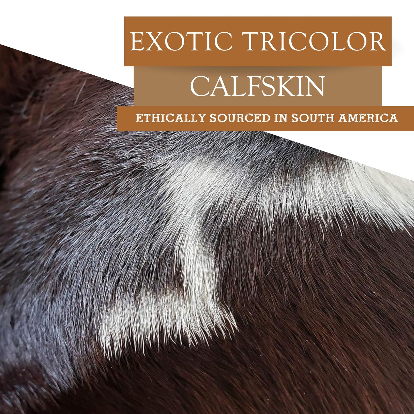 Sunshine Cowhides 100% Genuine Calfskin Tricolor Exotic Calf Hide Cowhide Rug - Modern Style Animal Skin Rug & Floor Carpet for Living Room, Bedroom, Kitchen & More - Small (3 x 3 Ft.)