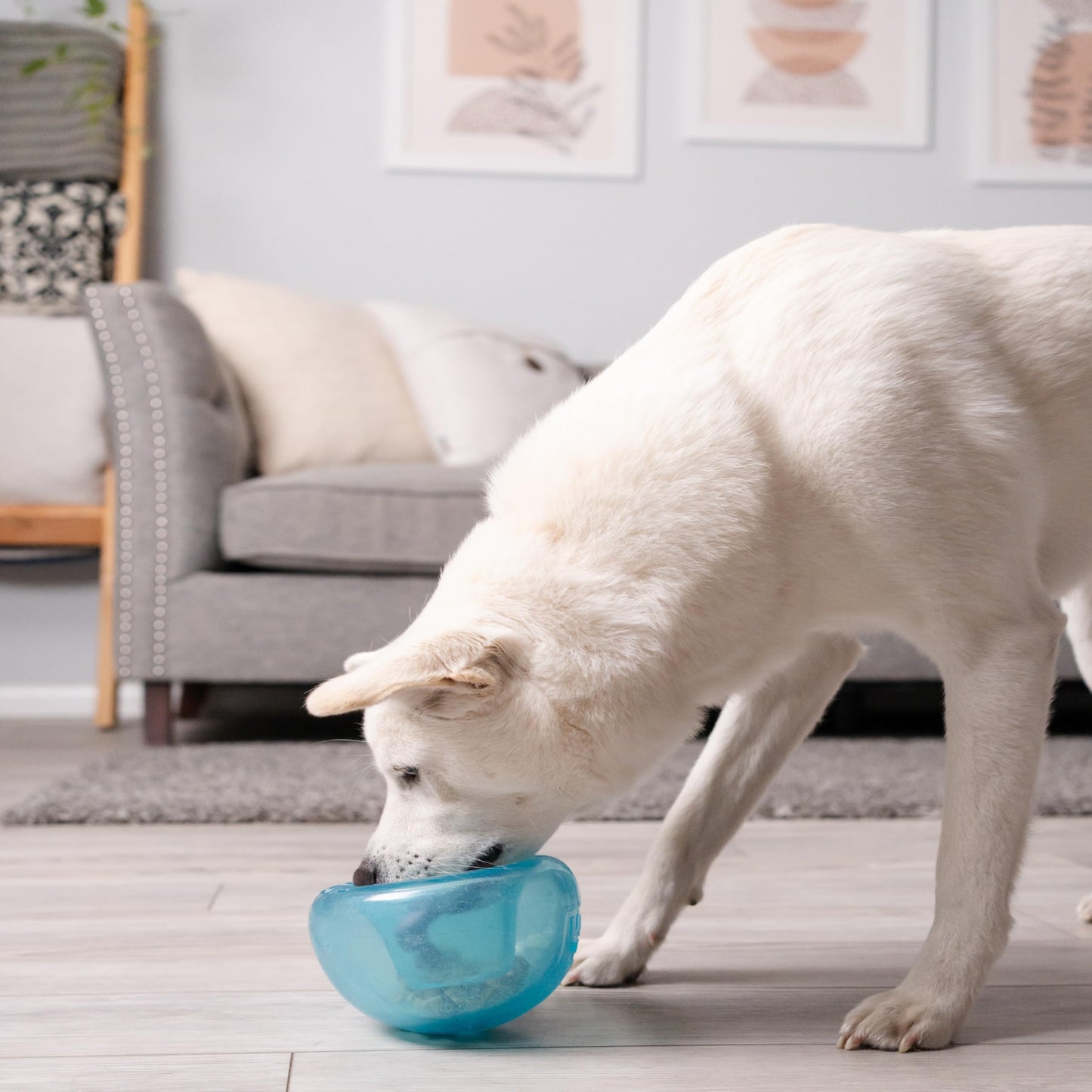 Planet Dog Orbee-Tuff Snoop Interactive Treat Dispensing Dog Toy, Large, Blue