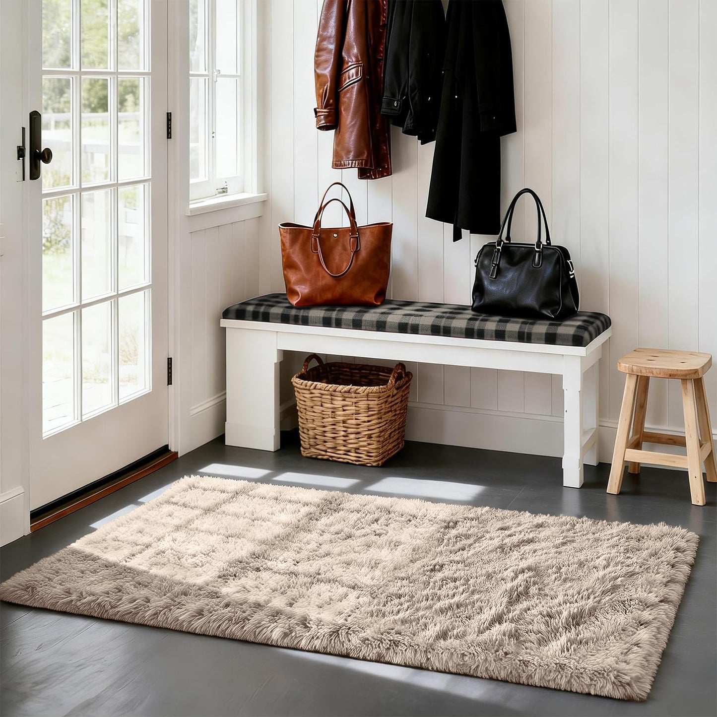 Fluffy Rug Shag Area Rug, Beige 2x4 Area Rugs for Bedroom, Small Bedside Rug, Soft Fluffy Shag Entryway Throw Rugs for Living Room Bedroom Room Home Decor