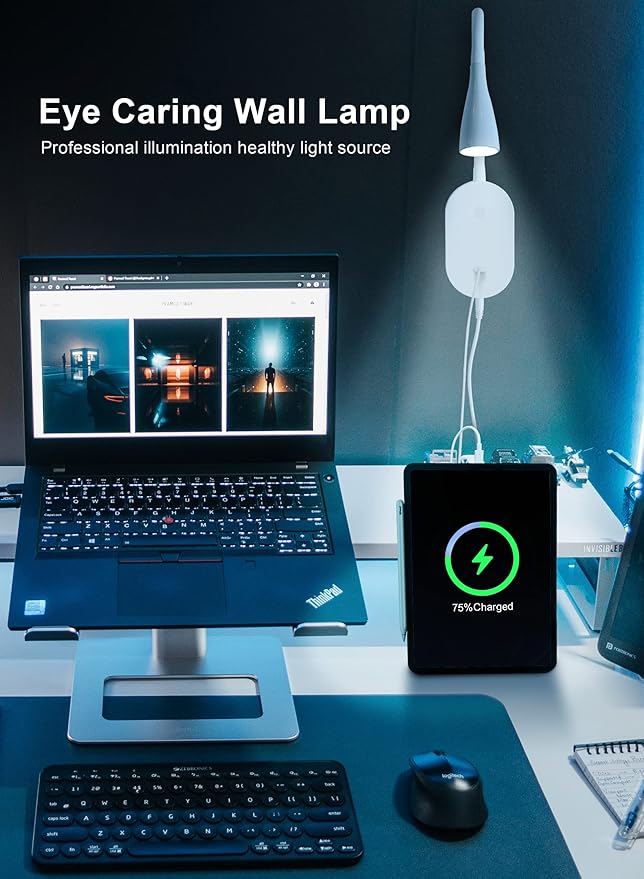 deeloop LED Wall Mount Reading Light for Bed, Reading Lamp with USB Output 5 Brightness Levels Touch Control Book Lights, 4000K Bedside Lamp Flexible Gooseneck, 2 Easy Install Options