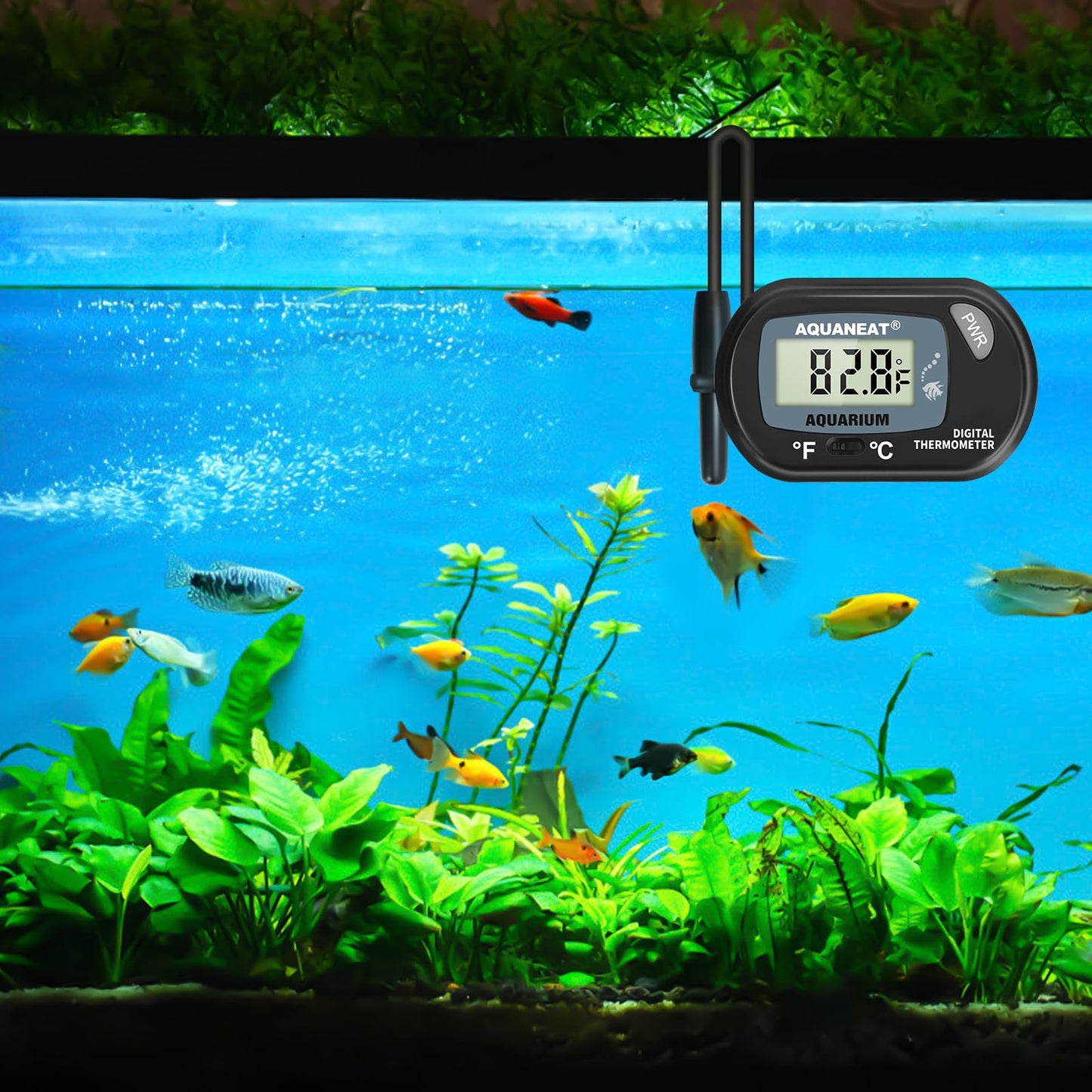 AQUANEAT Aquarium Thermometer, Fish Tank Thermometer, Digital Temperature Test, with Large LCD Display (1 Pack)