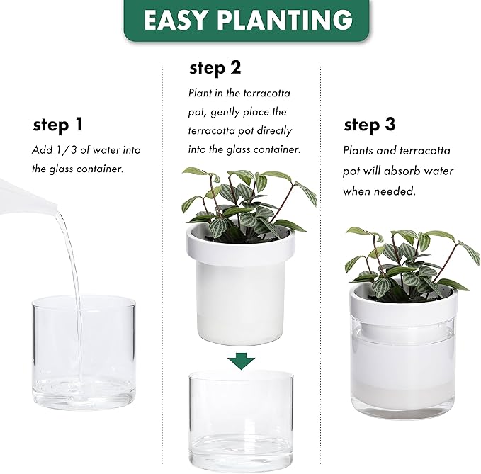 Phoenix Vine 4 Inch Self Watering Planter, White Terracotta Clay Pot with Glass Reservoir for Indoor Plants, Herbs, Flowers, Set of 2, 52-B-E-2