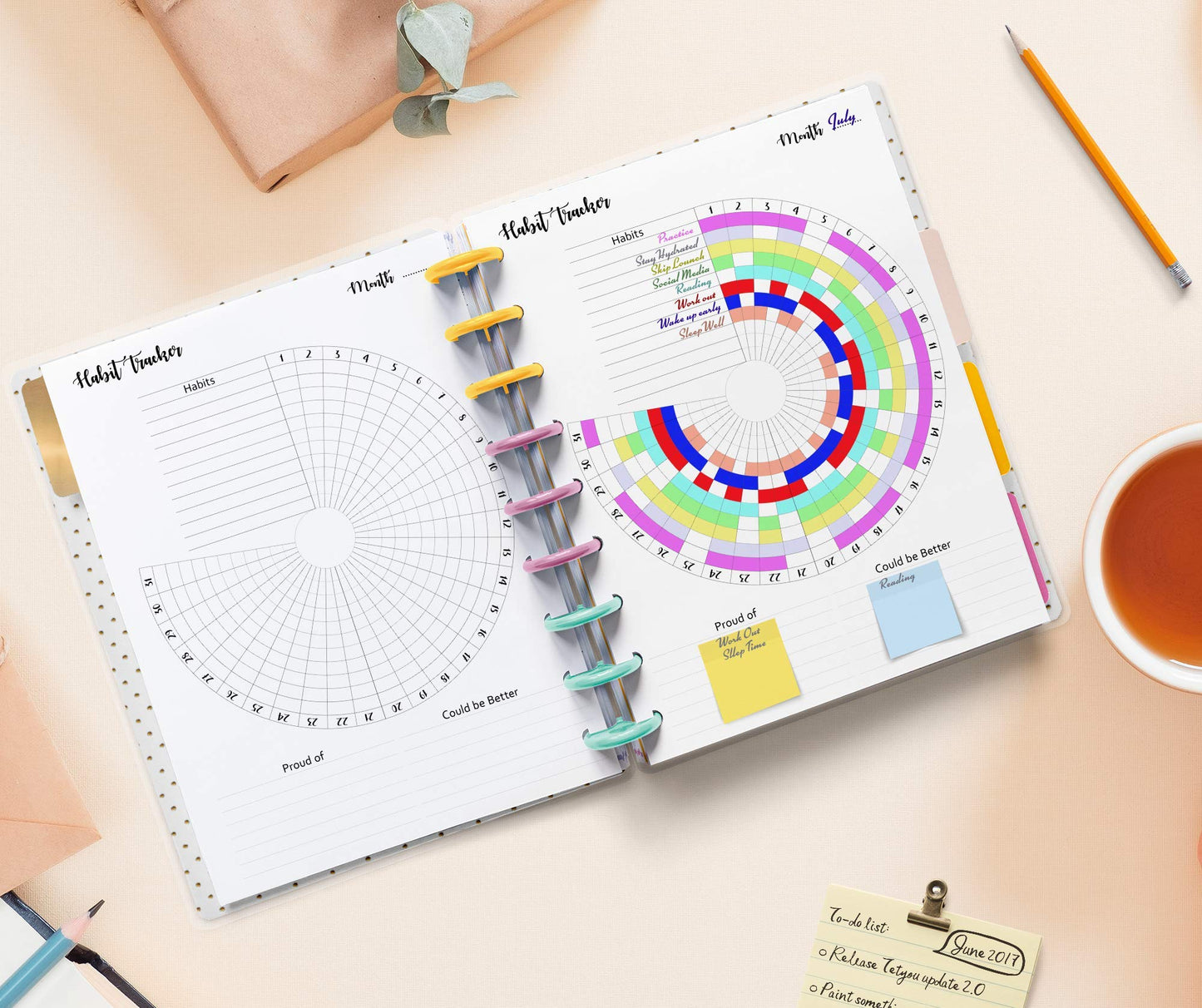Habit Tracker Inserts for 9-Disc Planners (7 x 9.25 inches), Resolution Tracker, Monthly Habit Planner Refill, 12 Months Supply Compatible with Happy Planner ARC and TUL