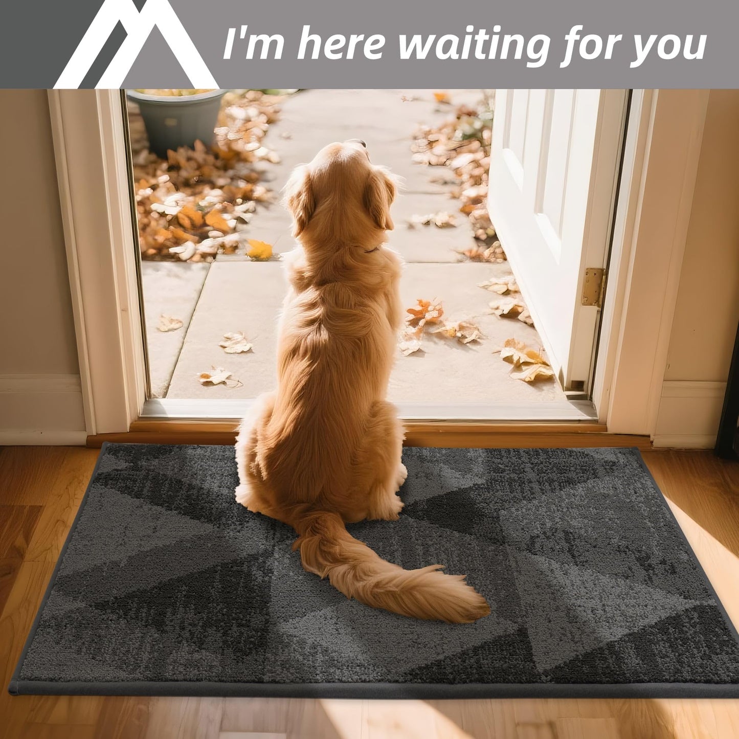 COSY HOMEER Entryway Rugs Doormat 32"x48", Non-Slip Absorbent Polyester, Washable Rugs for Front Door, Dirty Paws & High Traffic Areas, Gray