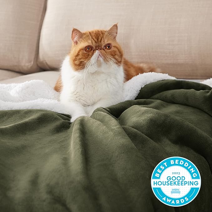 Bedsure GentleSoft Sherpa Fleece Blankets Queen Size for Bed - Thick and Warm Throw for Men, Soft Fuzzy Plush Queen Blanket for Winter, Olive Green, 90x90 Inches