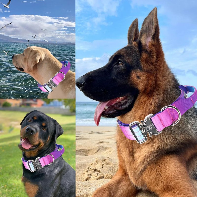 Comfluxe 1.5" Tactical Dog Collar with Handle, Heavy Duty Dog Collar with Metal Buckle for Medium Dogs, Soft Neoprene Padded Lining, Adjustable Gradient Colorful Nylon Collar for Training (Purple, M)