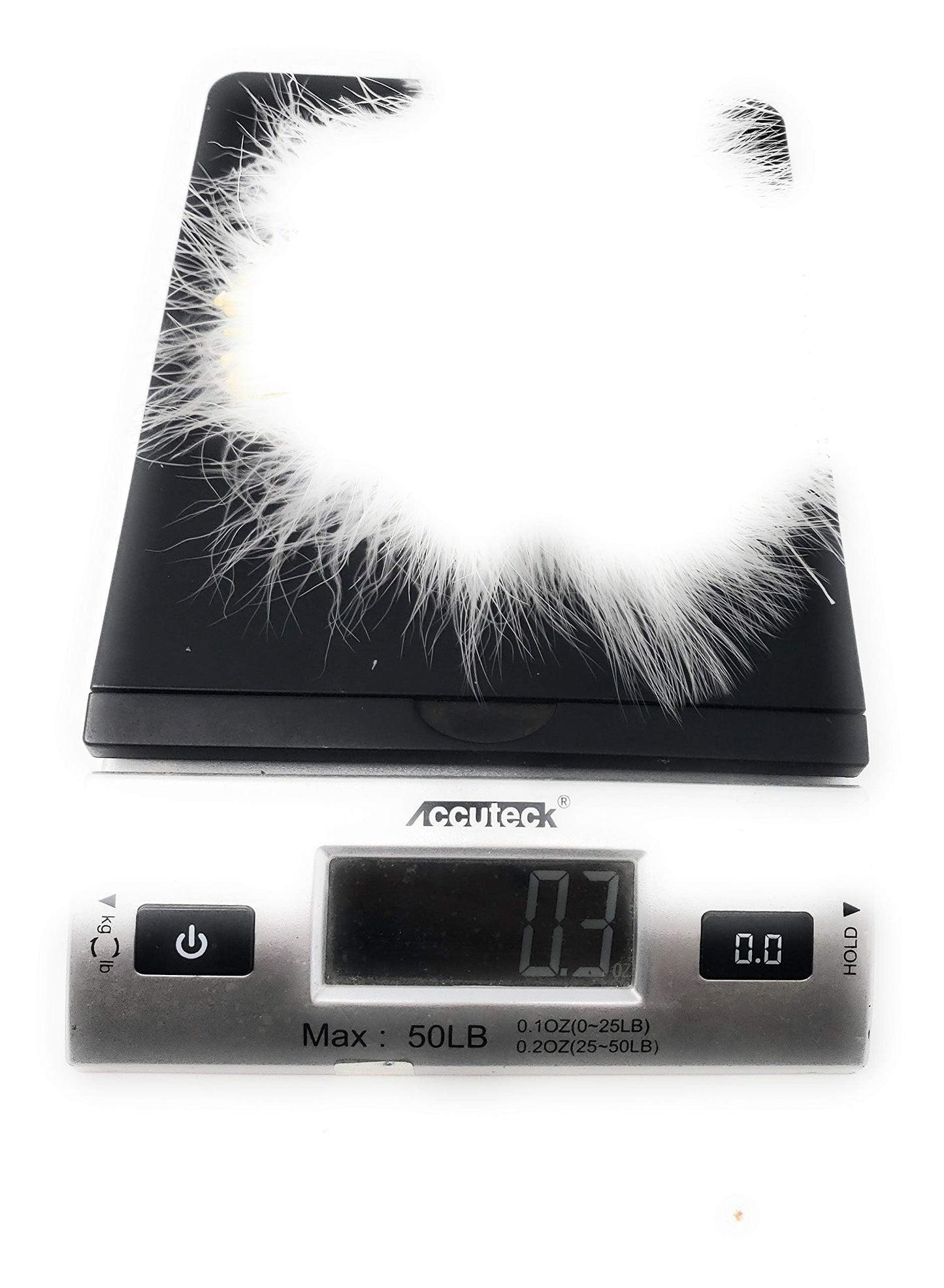 Creative Angler Strung Marabou Bird Feathers for Tying Fly Fishing Flies - Fly Tying Accessories - Perfect Choice for Tail & Wings and Easy to Tie On The Lure - Approximately 0.3 Ounces (White)