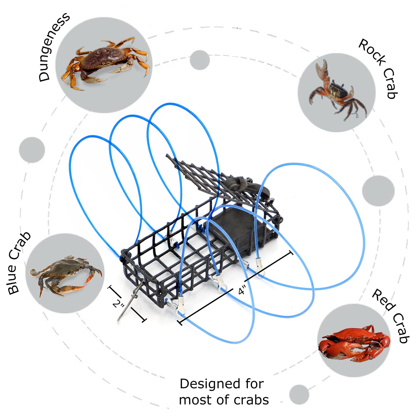 AirFly Castable Crab Trap for Pier, Jetty & Surf - 6-Loop Fishing Pole Crab Trap | Dungeness, Blue & Rock Crabs | Lead-Free | CA, OR, WA, MD & FL, Made in USA (2 Traps + Gauge Kit)
