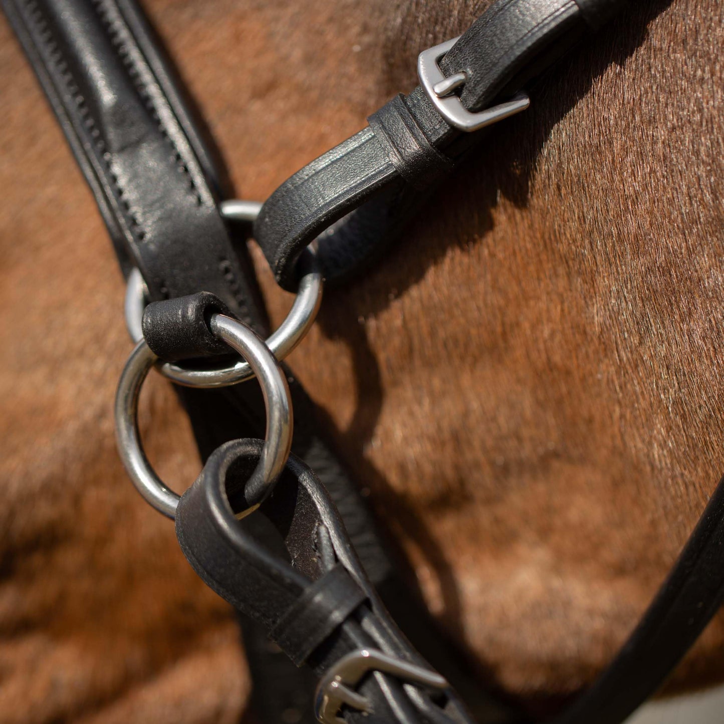 Equinavia Saga Cross-Under English Bitless Bridle for Horses | Reins Included - Black - Cob