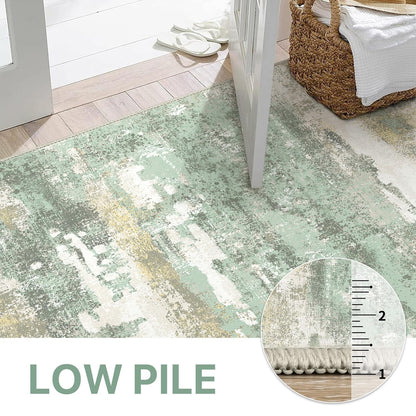 BEIMO Area Rugs 5x7 for Living Room Bedroom, Modern Abstract Machine Washable Large Light Green Rug Soft Rug, Low Pile Floor Carpet with Non Slip Backing for Dining Room