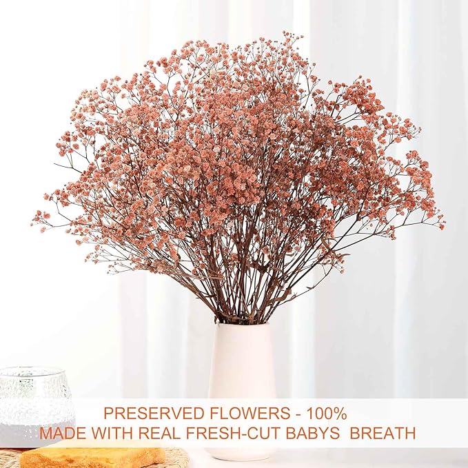 Babys Breath Dried Flowers Bouquet-17'' 2500+ Ivory Dry Flowers, Natural Gypsophila Branches for Wedding, Home Table Vase Decor, DIY Wreath Floral, Fall Thanksgiving Autumn Decoration (Brown, 3oz)