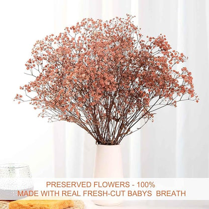 Babys Breath Dried Flowers Bouquet-17'' 4500+ Ivory Dry Flowers, Natural Gypsophila Branches for Wedding, Home Table Vase Decor, DIY Wreath Floral, Fall Thanksgiving Autumn Decoration (Brown, 5oz)