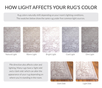 SAFAVIEH Area Rug 9x12 - Reflection Collection - Large - Beige & Cream, Non-Shedding & Easy Cleaning, Ideal for Living Room, Bedroom, Dining Space (RFT665A)