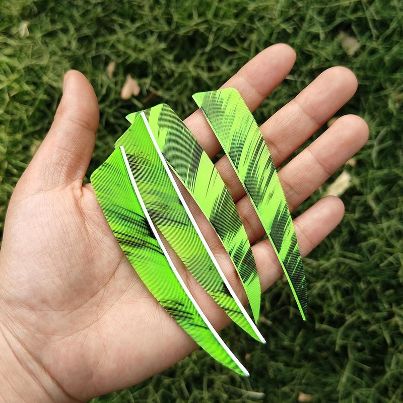 Natural Turkey Fletchings - 36pcs 4-Inch Shield Cut Real Feathers for Archery | Right Wing Vanes