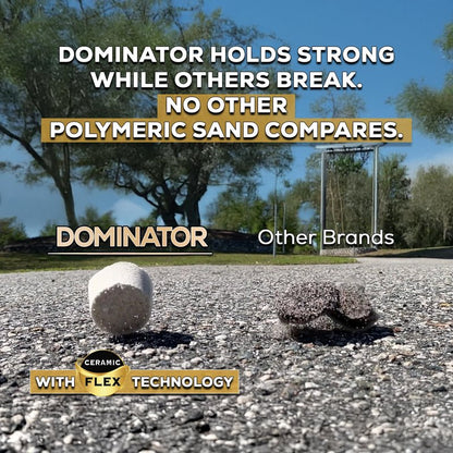 10 Pound Gray Beige DOMINATOR Polymeric Sand with Revolutionary Ceramic Flex Technology for Stabilizing Paver Joints/Gaps, 1/8” up to 4”, Professional Grade Results