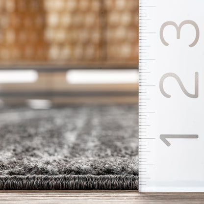 Nuloom Thigpen Charcoal/Grey, 7'6" x 9'6", Soft and Cozy, High Traffic, Stain Resistant, Easy Clean, Non-Shed, Durable Area Rug for Bedroom, Living Room, Dining Space, Den, Foyer, Entryway