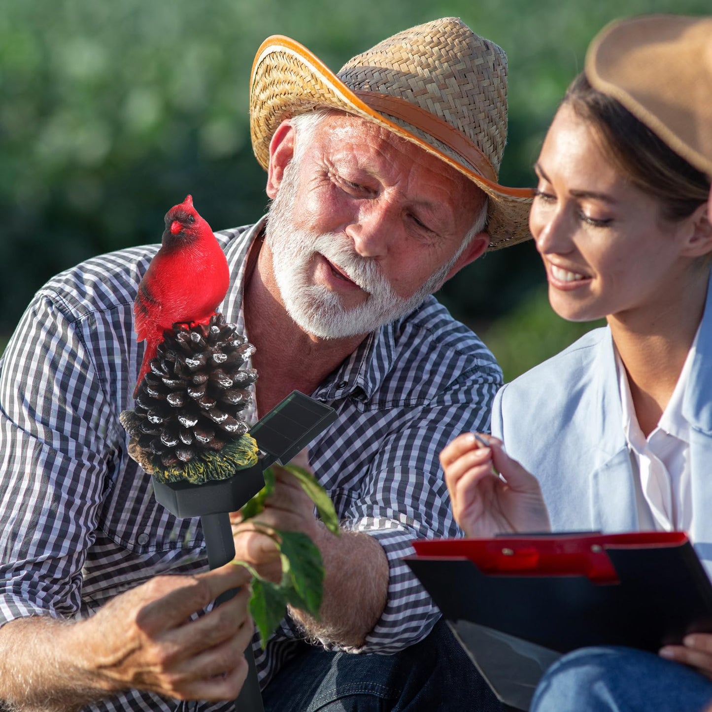 Capoda 2 Pack Solar Lights Decorative Garden Outdoor , Red Cardinal Bird Stakes for Pathway Yard Lawn, Waterproof Resin Figurine Memorial Sympathy Gifts for Mom Women, Cemetery Grave Decorations