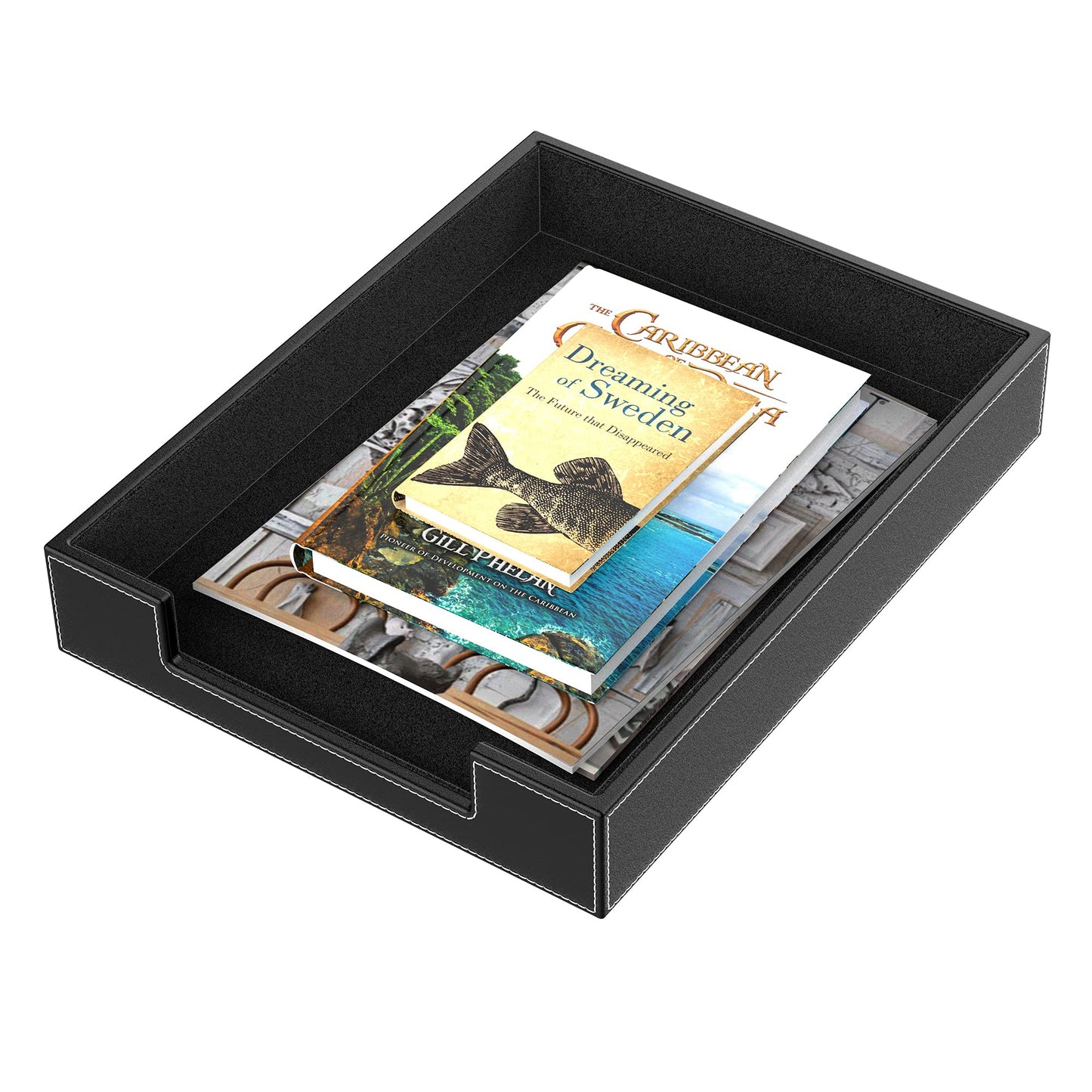 Leather Letter Tray, THIPOTEN Elegant Desk Organizer for Office Supplies, Mail, Paper, File, Magazine, Perfect Office Organization for Desktop(Black)