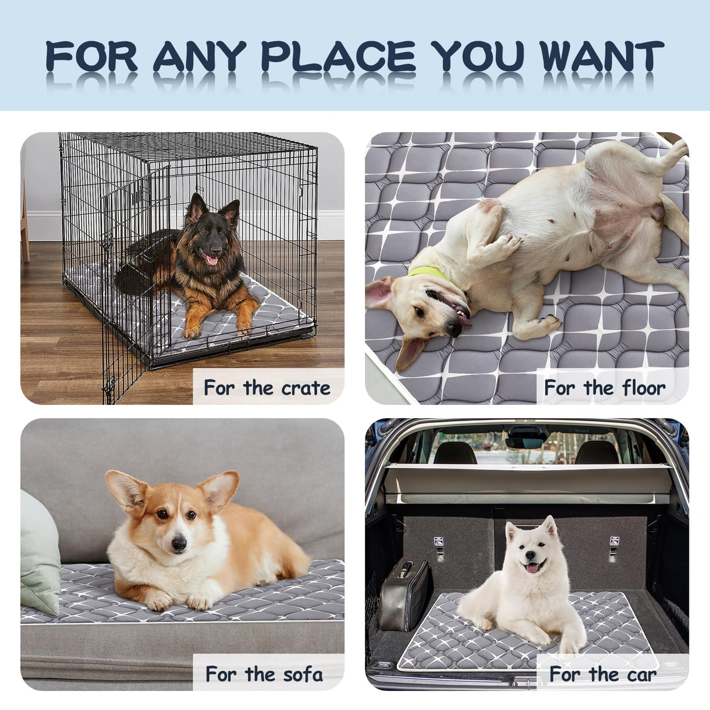 Bubble bear Dog Crate Mat - Ultra Soft, Washable & Anti-Slip Kennel Pad for Small/Medium/Large Dogs, Dark-Hued to Hide Stains (42"x28")