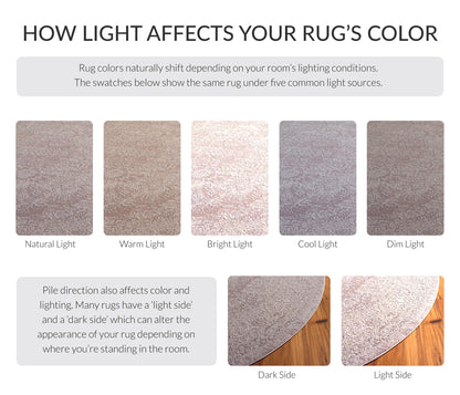 SAFAVIEH Area Rug 9x12 - Reflection Collection - Large - Beige & Cream, Non-Shedding & Easy Cleaning, Ideal for Living Room, Bedroom, Dining Space (RFT668A)