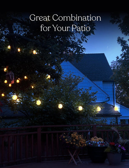 Brightech Orb Outdoor Indoor String Lights - Frosted Lantern LED String with 10 Weatherproof Globe Lights - Plug in Commercial Grade Light Strand for Patio, Porch, Garden, Café - 30 Ft, Black