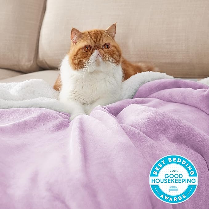 Bedsure GentleSoft Sherpa Fleece Throw Blanket for Couch - Thick and Warm Throw for Girls, Soft Fuzzy Plush Kids Blanket for Winter, Lilac, 50x60 Inches