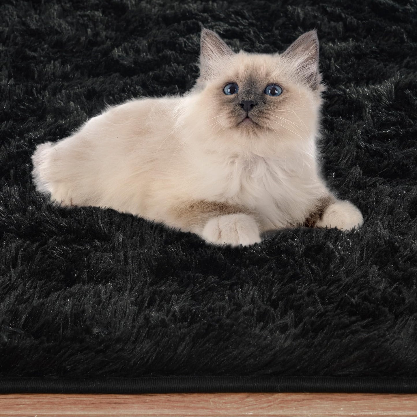 ISEAU Oval Fluffy Rug Carpets, Modern Plush Shaggy Area Rugs for Kids Bedroom Extra Comfy Cute Nursery Mat Bedside Rug for Boys Girls Room Home Decor Mats, 2.6 x 5.3ft, Black