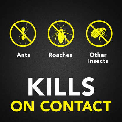 Raid Ant and Roach Killer, Fragrance Free, 17.5 OZ