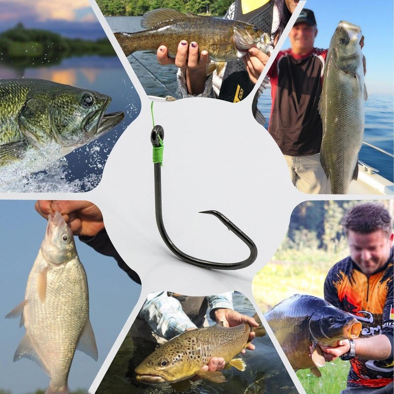 Natufish Fishing Circle Hooks 50Pcs Offset Fish Hook Saltwater,Barbed Live Bait Hooks Black Nickel/Wide Gap for Catfish Striped Bass 4/0