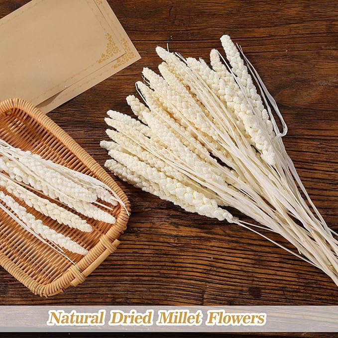 Dried Flowers Bouquet, Dry Flower Bundle, 20Pcs Natural Real Millet Flowers with Stems, Dried Floral Arrangements for Wedding Decor, Door Wreath, Home Party Vase Farmhouse Decoration (White, 17'')